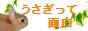「うさぎって面白い」